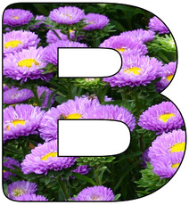 Deko-Buchstaben-Blumen_B.jpg